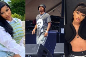 Plies Sues Megan Thee Stallion, Cardi B