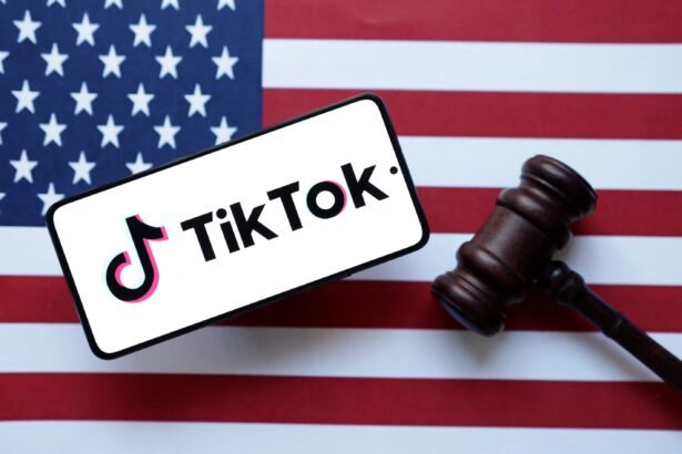 U.S. Court Upholds TikTok Ban