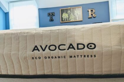 Avocado Mattress Lawsuit