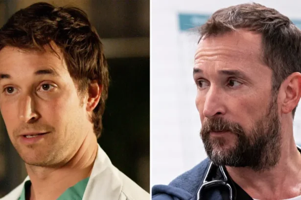 ER vs The Pitt
