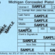 Michigan concealed pistol license
